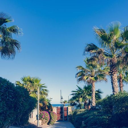 Apartamento Premium Con Jacuzzi Y Vistas Al Mar En Punta Prima, Torrevieja By Rentalole Exteriör bild