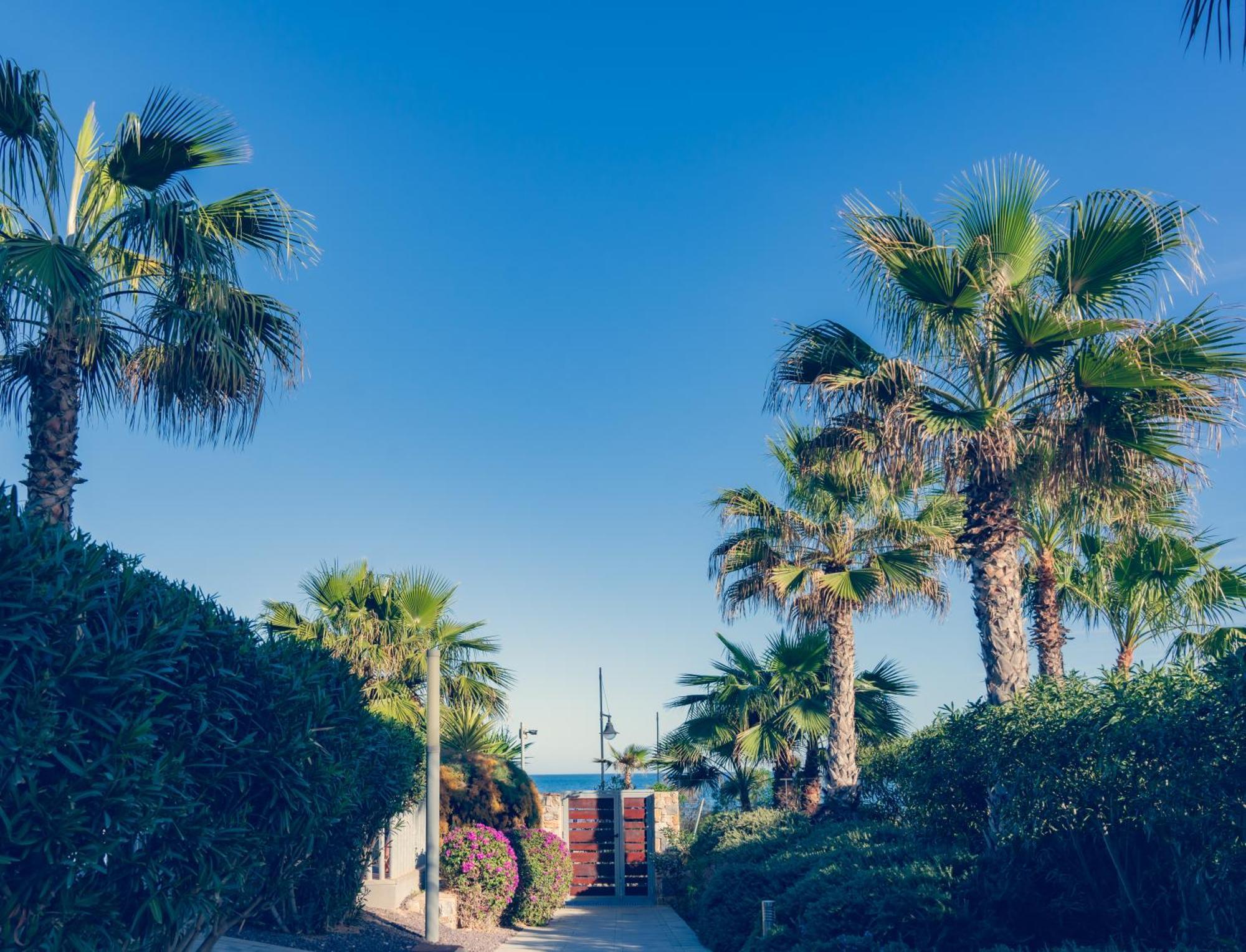 Apartamento Premium Con Jacuzzi Y Vistas Al Mar En Punta Prima, Torrevieja By Rentalole Exteriör bild